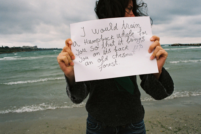 Alina Andrei - Messages for the last Eskimo