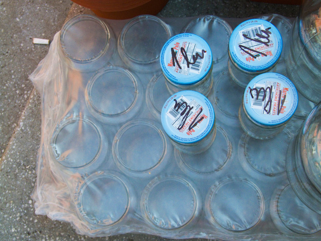 Calina Barzu - 1 leu