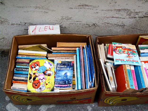 Calina Barzu - 1 leu