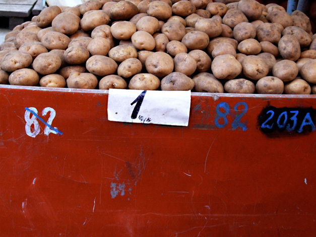 Calina Barzu - 1 leu