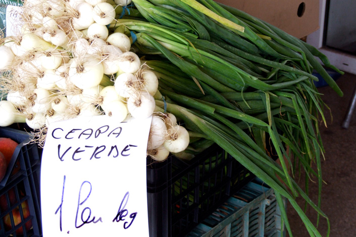 Calina Barzu - 1 leu