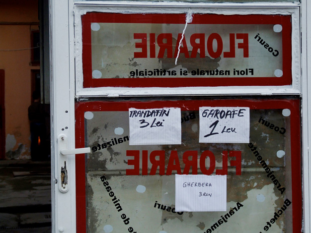 Calina Barzu - 1 leu