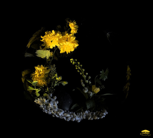 Daniel Munteanu - Artificial Light Macro