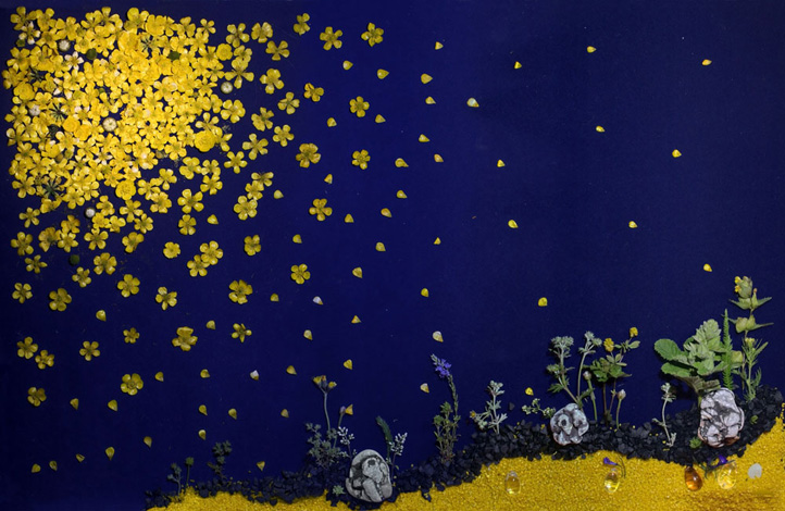 Daniel Munteanu - Artificial Light Macro