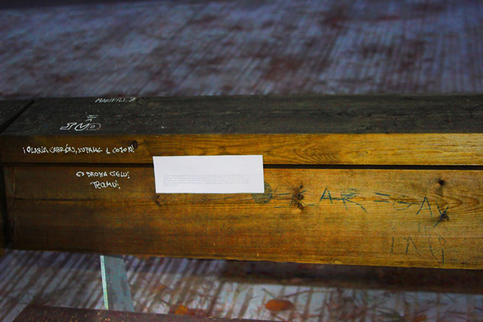 Elena Ciobanu - dreams