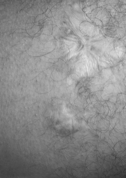 Elena Ciobanu - Scars