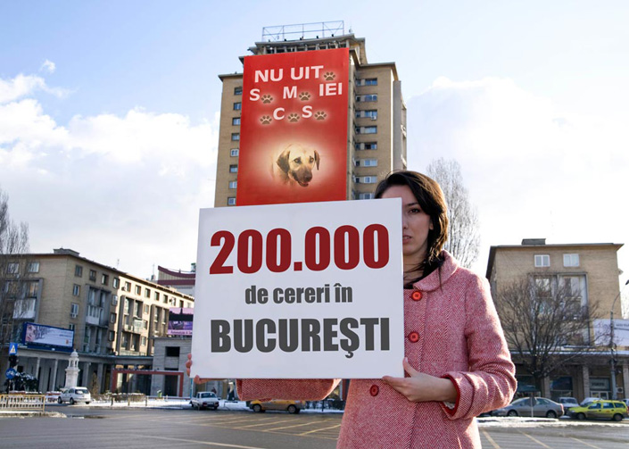 Ioan Cristian Coclitu - Cod si revolutie