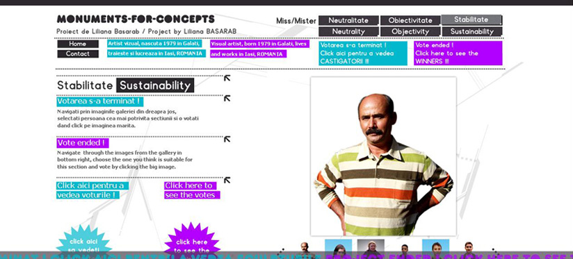 Liliana Basarab - Monuments For Concepts