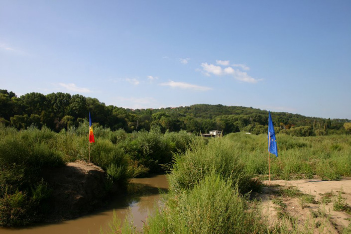 Vlad Nancă, Mircea Nicolae - Podul de flori