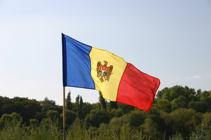 Vlad Nancă, Mircea Nicolae - Podul de flori