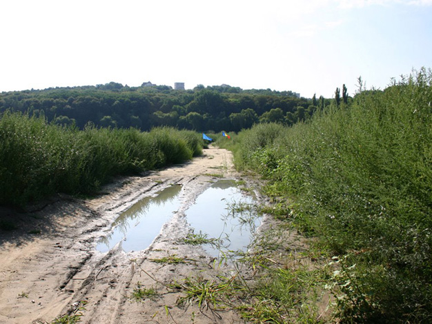Vlad Nancă, Mircea Nicolae - Podul de flori