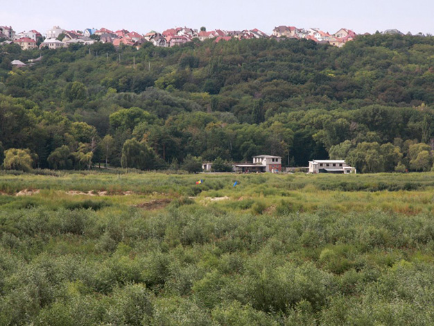 Vlad Nancă, Mircea Nicolae - Podul de flori