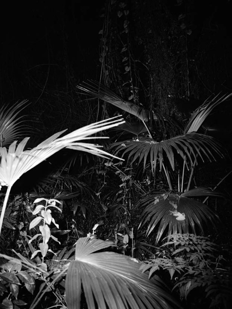 Tudor Bratu - Untitled - China