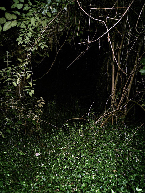 Tudor Bratu - Untitled - China