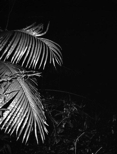 Tudor Bratu - Untitled - China