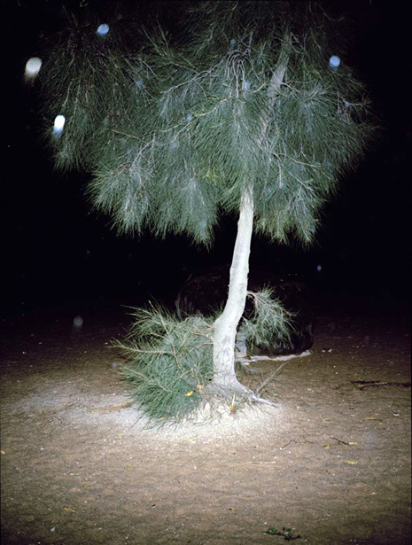 Tudor Bratu - Untitled - China