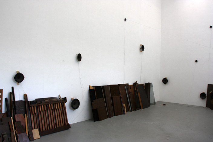 Tudor Bratu - A Speech Organ