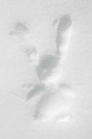 Alina Andrei Alina Andrei