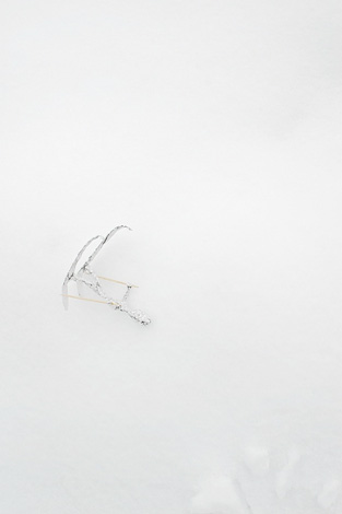 Alina Andrei Alina Andrei