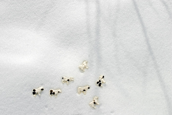 Alina Andrei Alina Andrei