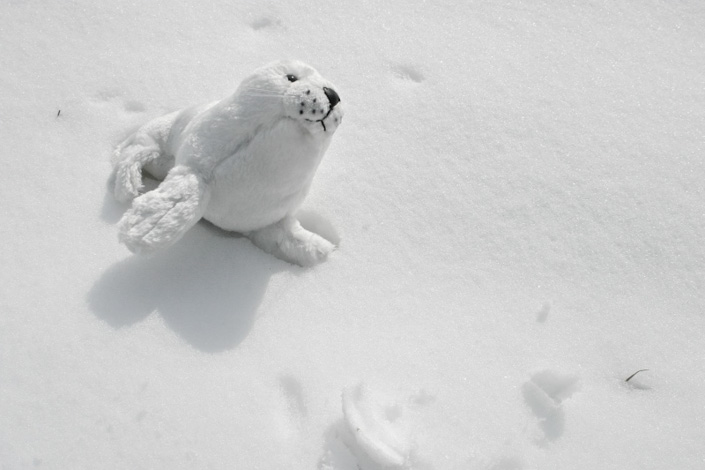 Alina Andrei Alina Andrei