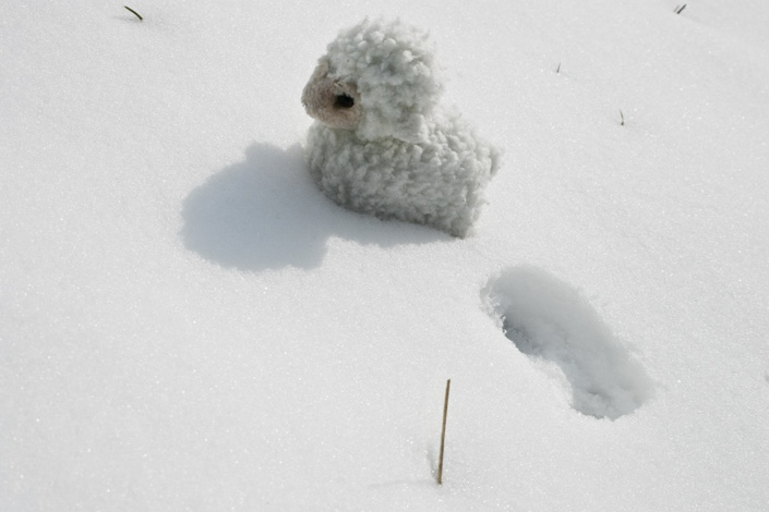 Alina Andrei Alina Andrei