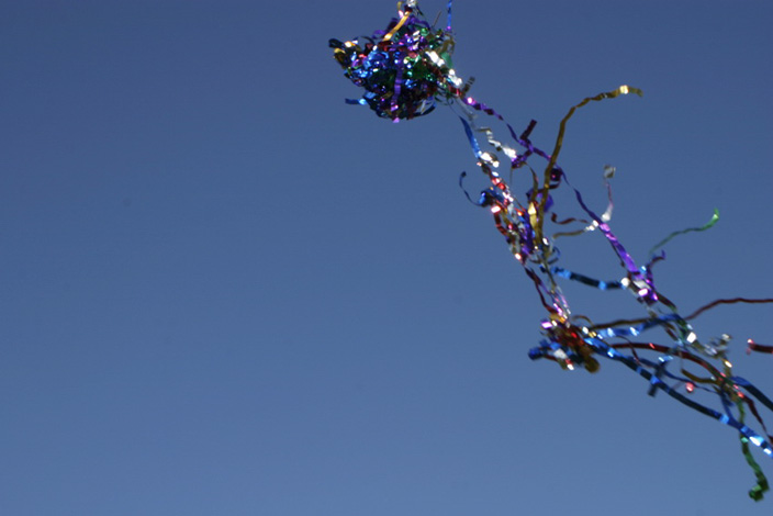 Alina Andrei Alina Andrei