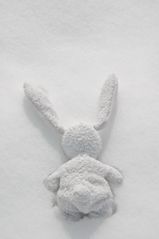 Alina Andrei Alina Andrei