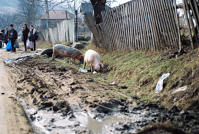 Andu Simion Andu Simion