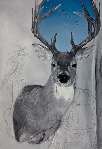 Cătălin Petrișor Cătălin Petrișor