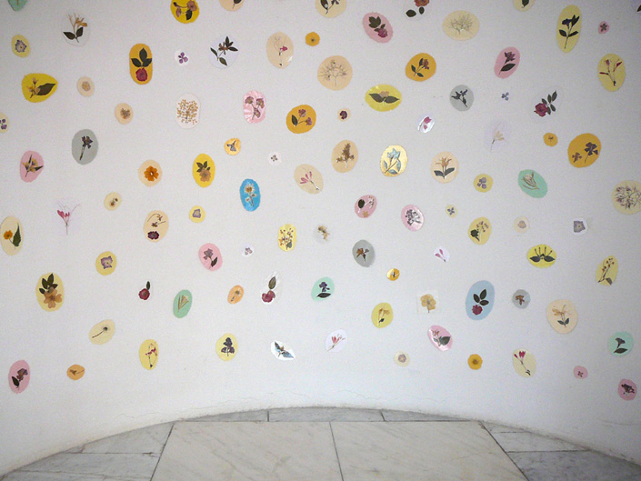 Oana Toderică Oana Toderică