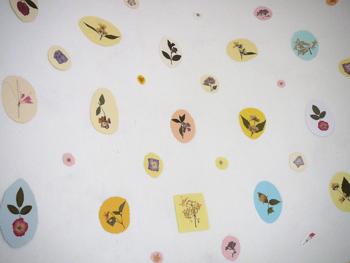 Oana Toderică Oana Toderică