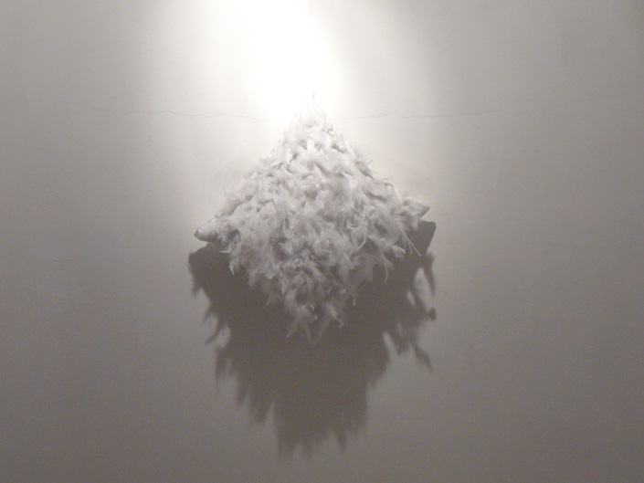 Oana Toderică Oana Toderică