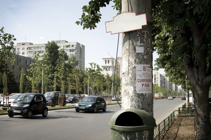 Daniela Stoian Daniela Stoian