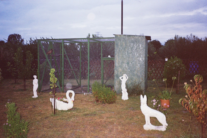 Serioja Bocsok & Alex Nelu