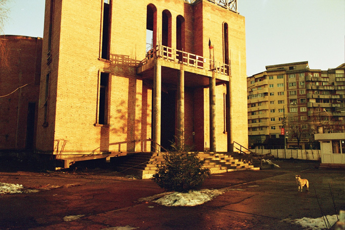 Serioja Bocsok & Alex Nelu